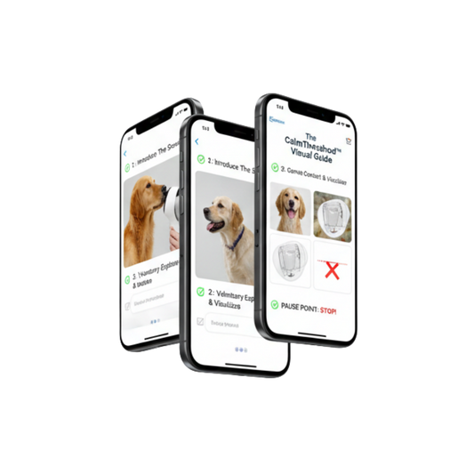 FREE Ebook The Neurological Switch