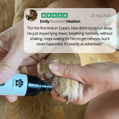 The Calmthreshold System