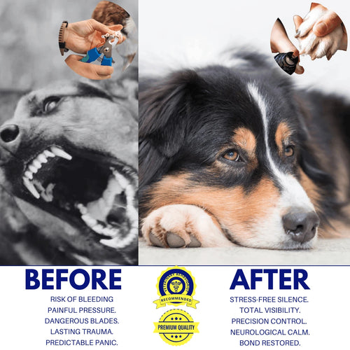 The Calmthreshold System