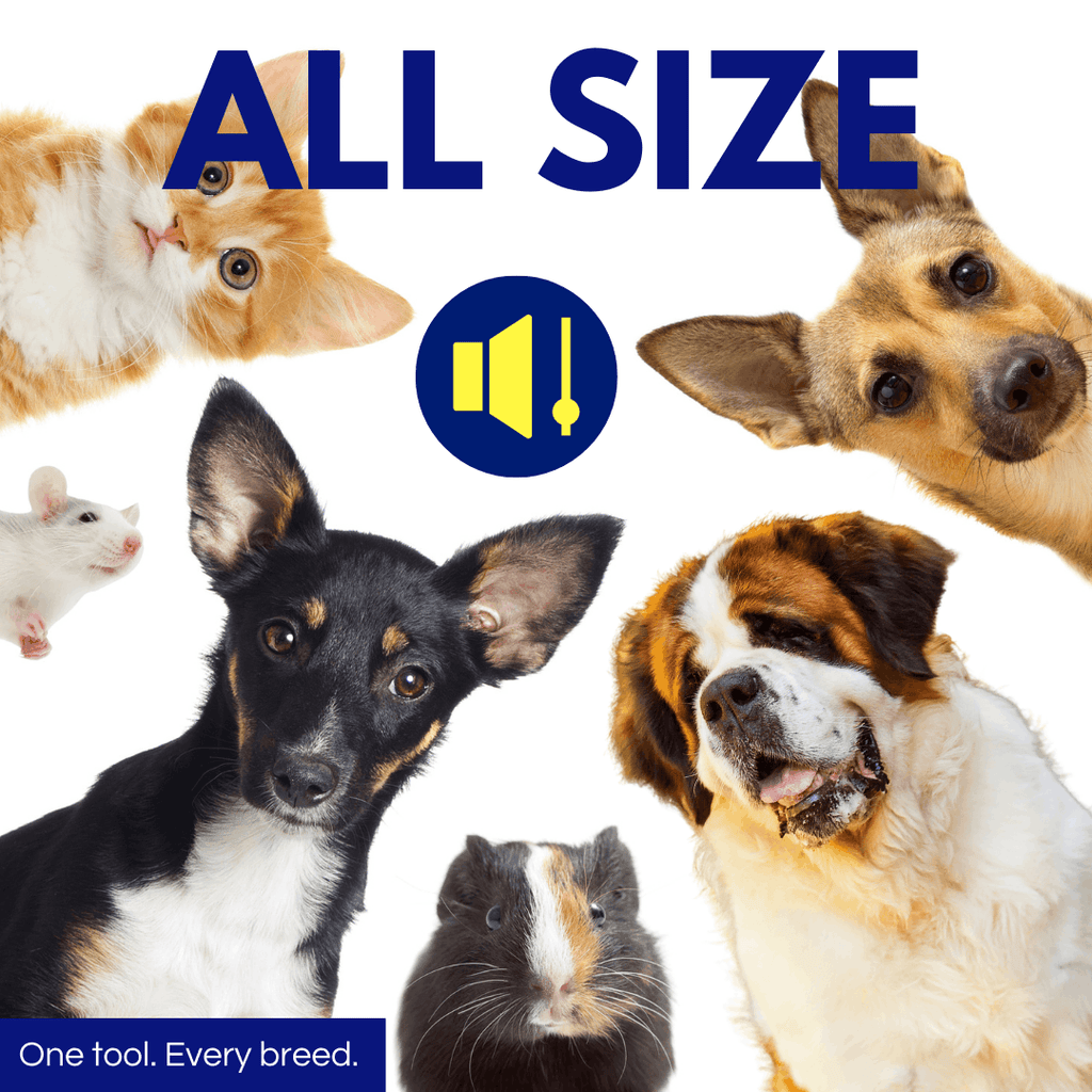 The CalmThreshold System