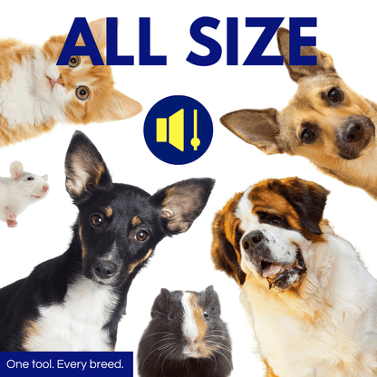 The Calmthreshold System