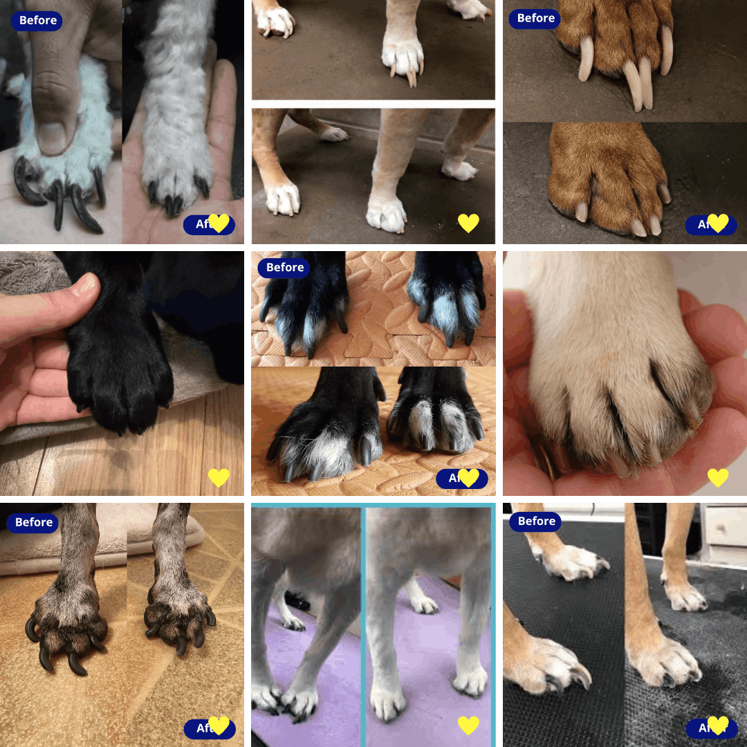 The Calmthreshold System