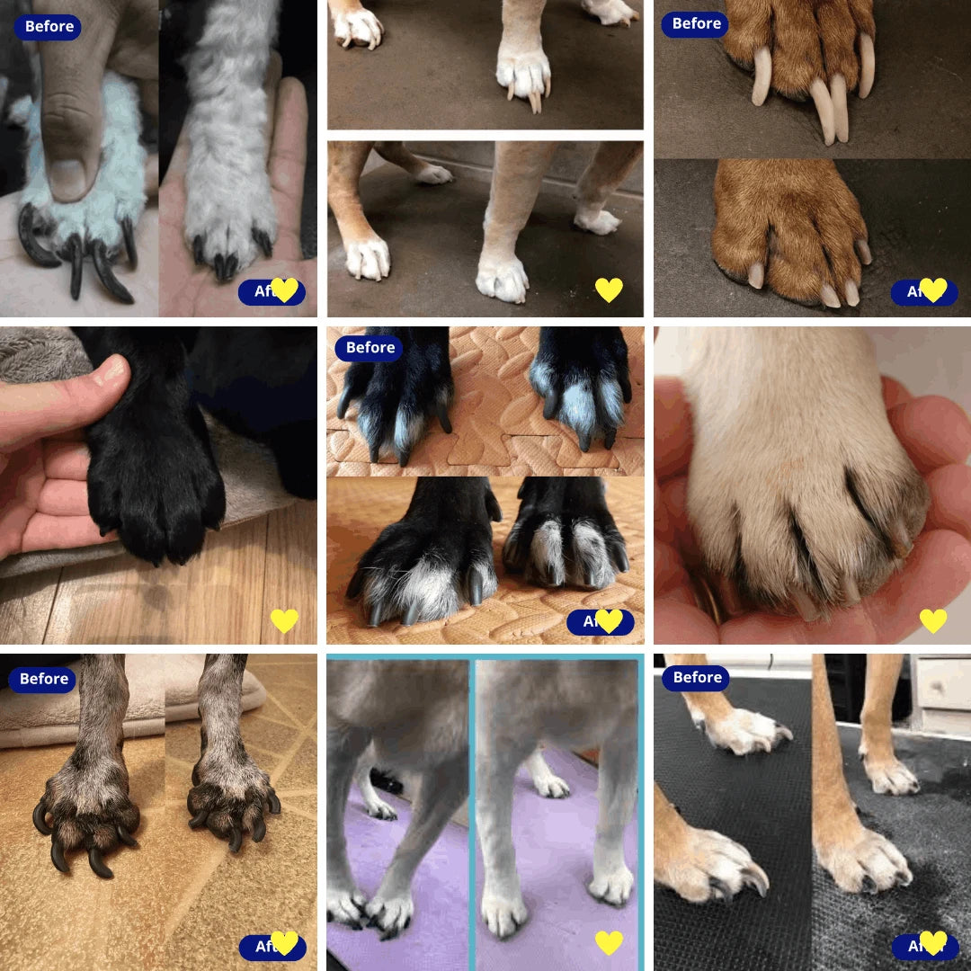 The Calmthreshold System